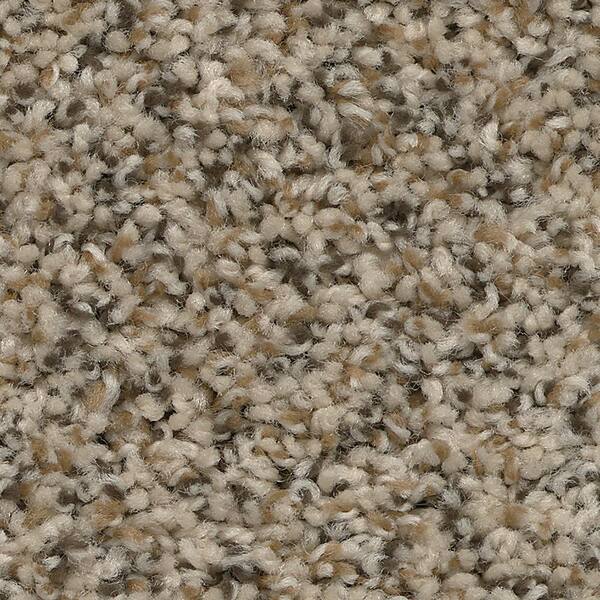 Promenade - Mingle - Beige 24 oz. SD Polyester Texture Installed Carpet