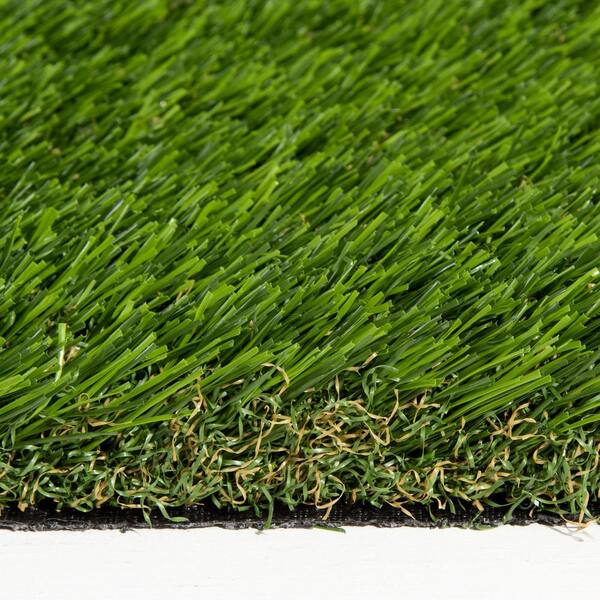 80 oz. Evolution 15 ft. Wide x Cut to Length Light Field Clover Artificial Grass