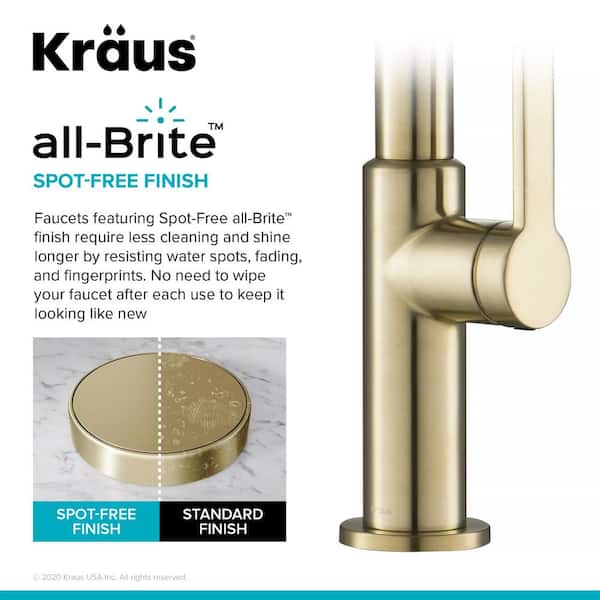 Oletto Single-Handle Pull-Down Sprayer Kitchen Faucet in Spot Free Antique Champagne Bronze