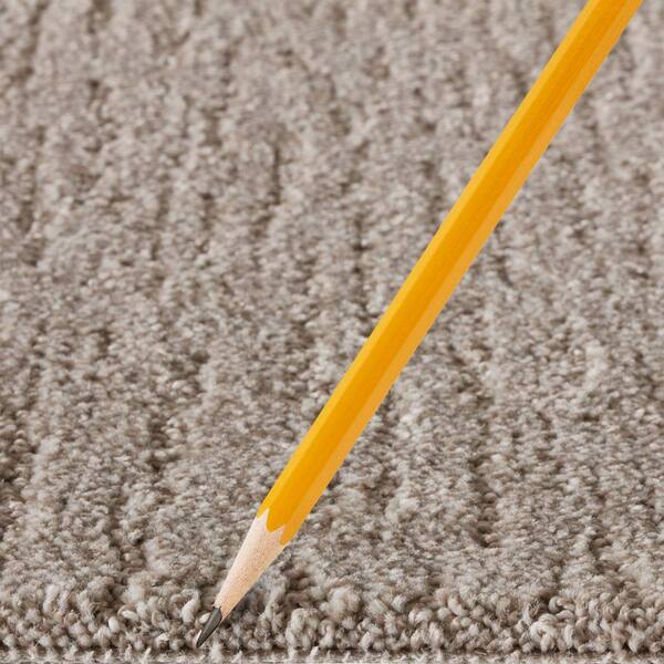 Chester  - Harmony - Beige 40 oz. Triexta Pattern Installed Carpet