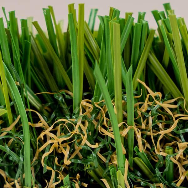 Boise Premium 65 15 ft. Wide x Cut to Length Green Artificial Grass Carpet