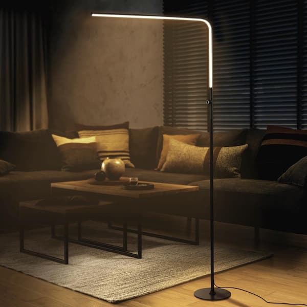 Natalie 63 in. Black LED Integrated Floor Lamp