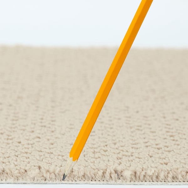 Lightbourne - Coastline - Beige 39.3 oz. Nylon Loop Installed Carpet