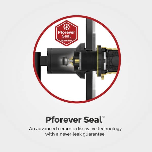 Ladera Culinary 1-Handle Pull Down Sprayer Kitchen Faucet with Deck Plate and Soap Dispenser in Matte Black