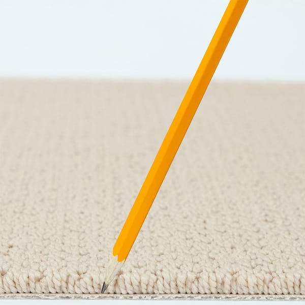 Lightbourne - Frosted Cookie - Brown 39.3 oz. Nylon Loop Installed Carpet