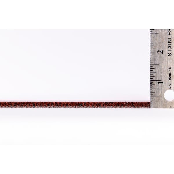 Transit Ingram Residential/Commercial 24 in. x 24 in. Glue-Down Carpet Tile (18 Tiles/Case) (72 sq.ft)