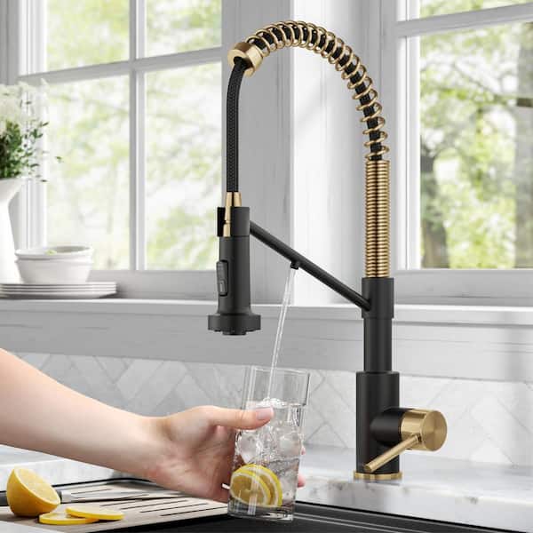 Bolden 2-in-1 Commercial Style Pull-Down Single Handle Water Filter Kitchen Faucet in Brushed Brass/Matte Black