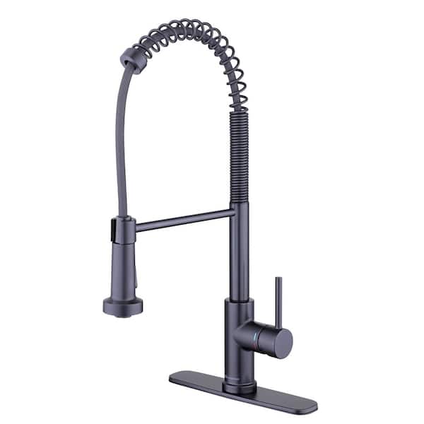 Paulina Single-Handle Spring Neck Pull Down Sprayer Kitchen Faucet in Matte Black