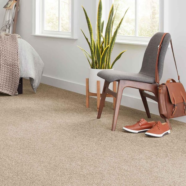 Tides Edge  - Praline - Beige 50 oz. Triexta Texture Installed Carpet