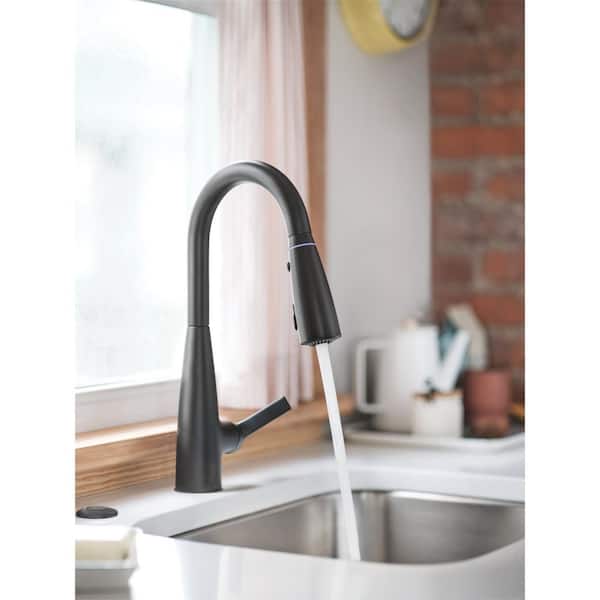 Haelyn Single-Handle Pull-Down Sprayer Kitchen Faucet with ColorCue Temperature Indicator in Matte Black
