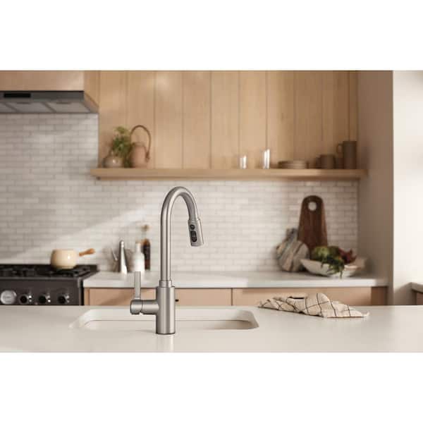 Genta LX Single-Handle Pull-Down Sprayer Kitchen Faucet with Reflex in Spot Resist Stainless