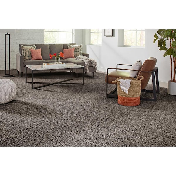 Finton  - Sea Lion - Gray 24 oz. SD Polyester Loop Installed Carpet