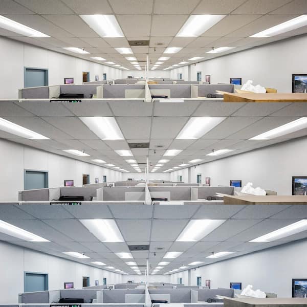 1 ft. x 4 ft. Center Basket LED Troffer Panel Light 2000/2500/3750 Lumens 3500K/4000K/5000K Dimmable Damp Rated (2-Pack)