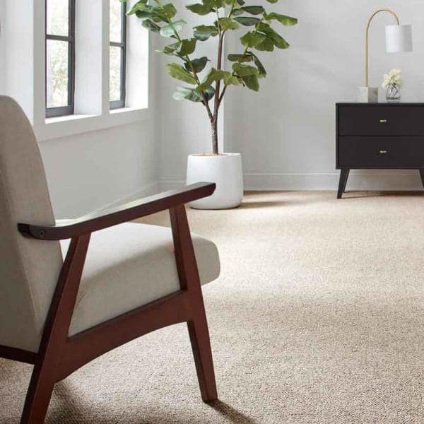 Hanville  - Tender Moment - Beige 27 oz. SD Polyester Loop Installed Carpet