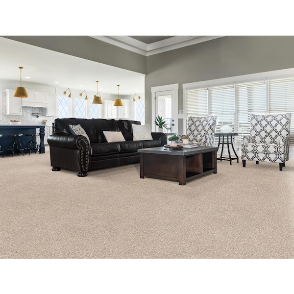 Fluffy Expectations - Granola - Brown 56.2 oz. Nylon Texture Installed Carpet