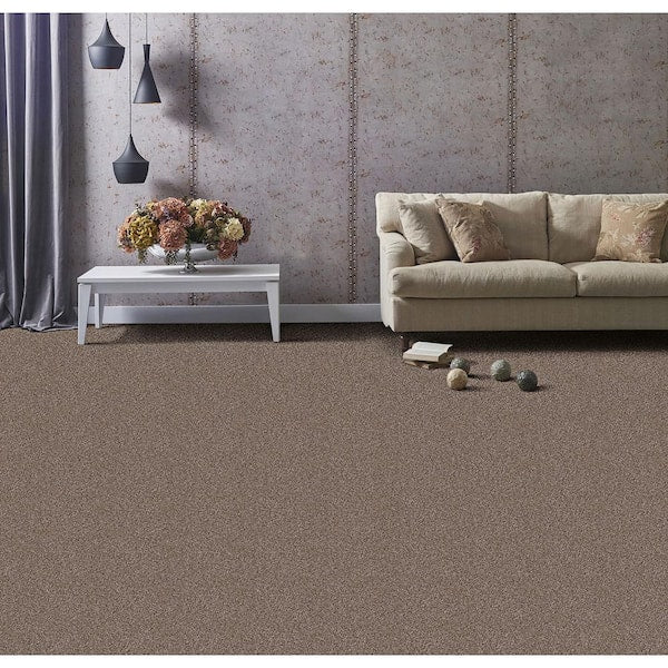 Founder - Builder - Brown 18 oz. SD Polyester Texture Installed Carpet