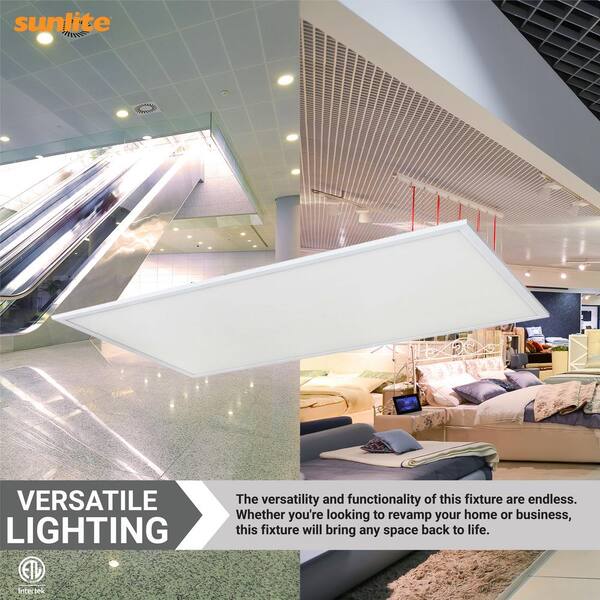 2 ft. x 4 ft. 6000 Lumens Lay in ENERGY STAR Dimmable Integrated LED Flat Panel Light, 3000K Warm White (2-Pack)