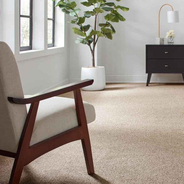 Hanville  - Salutation - Brown 27 oz. SD Polyester Loop Installed Carpet