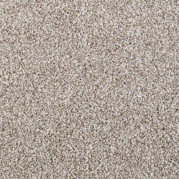 Barx II  - Paper Moon - Beige 56 oz. Triexta Texture Installed Carpet