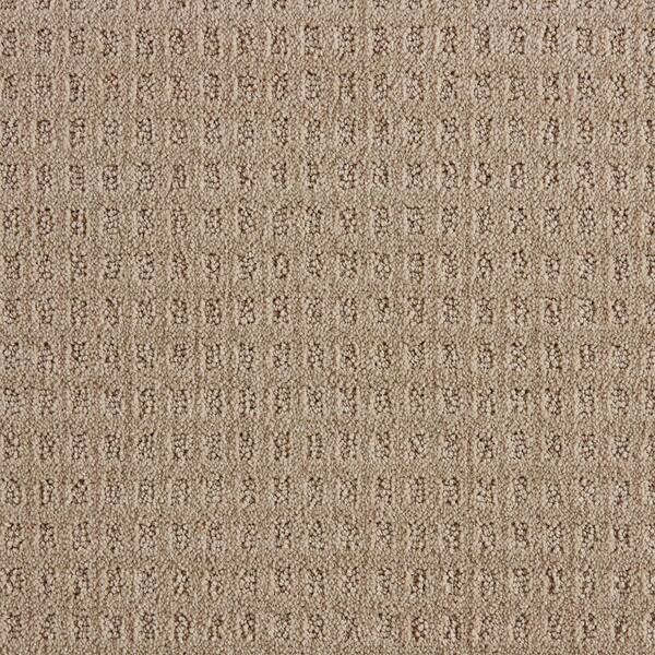Canter  - Twig - Beige 38 oz. Triexta Pattern Installed Carpet