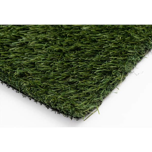 46 oz. Kentucky 15 ft. Wide x Cut to Length Field/Olive Green Artificial Grass
