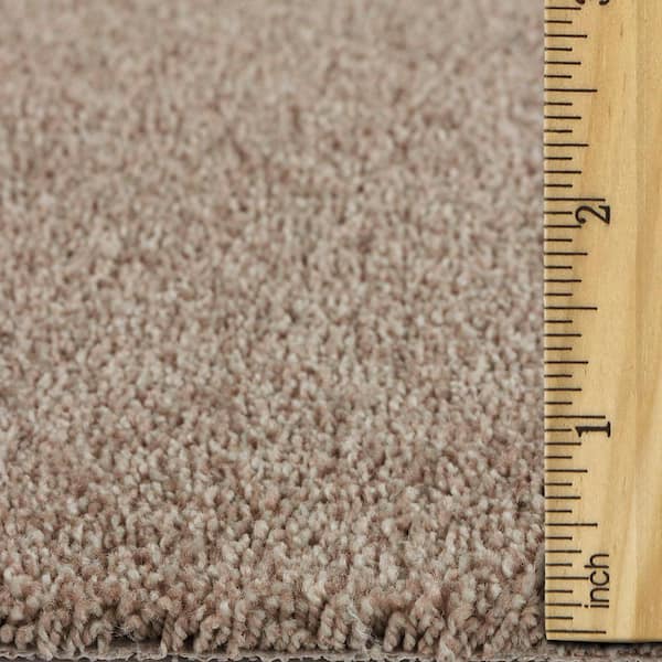 Still in Love I Lifetime Beige 39 oz. Blend Texture Installed Carpet