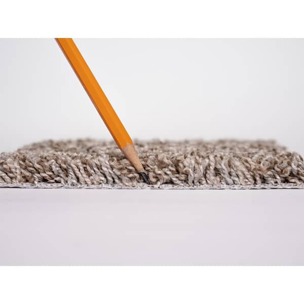 Montrose  - Sonic - Beige 35 oz. SD Polyester Texture Installed Carpet