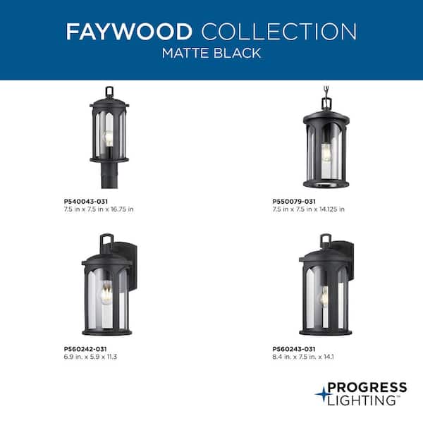 Faywood 1-Light Matte Black Outdoor Pendant Light with Clear Glass
