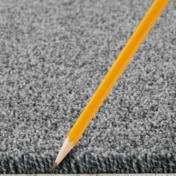 Tides Edge  - Danube - Blue 50 oz. Triexta Texture Installed Carpet