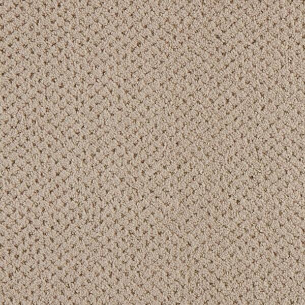 Pretty Penny  - Highlander - Brown 50 oz. Triexta Pattern Installed Carpet