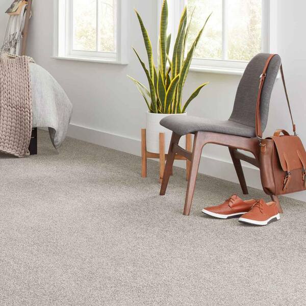 Tides Edge  - Biscuit - Brown 50 oz. Triexta Texture Installed Carpet
