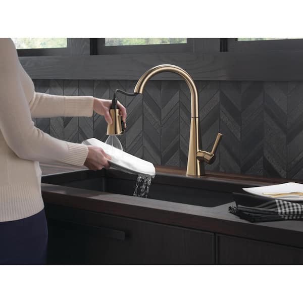 Lenta Single-Handle Pull-Down Sprayer Kitchen Faucet with ShieldSpray Technology in Champagne Bronze