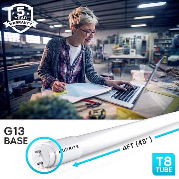 13-Watt 4 ft. Linear T8 LED Tube Light Bulb Ballast and Ballast Bypass Compatible 6500K Daylight Damp Rated (12-Pack)