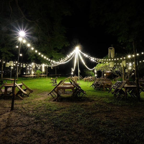 Smart Dimmable Cool Warm White Outdoor/Indoor 36 ft. Plug-In Novelty Bulb String Light