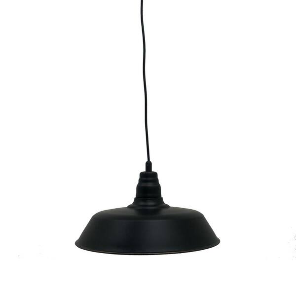 Aurora 1-Light Imperial Black Outdoor Pendant Light