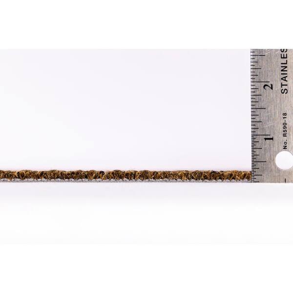 Duval Bishop Residential/Commercial 24 in. x 24 in. Glue-Down Carpet Tile (18 Tiles/Case) (72 sq.ft)