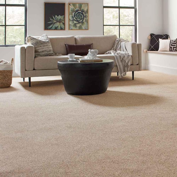 Hanville  - Explorer - Brown 27 oz. SD Polyester Loop Installed Carpet