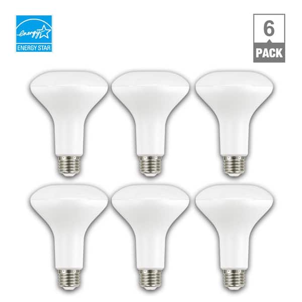 65-Watt Equivalent BR30 Dimmable ENERGY STAR LED Light Bulb Soft White (6-Pack)