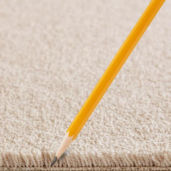 Silver Mane I  - Berkshire - Beige 50 oz. Triexta Texture Installed Carpet