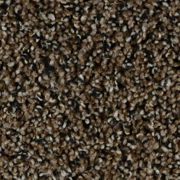 Captain  - Harmony - Brown 35 oz. SD Polyester Texture Installed Carpet