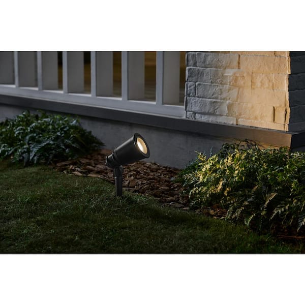 Cann River 60-Watt Equivalent Low Voltage 420 Lumens Black Hardwired Integrated LED Outdoor Spotlight with Clear Glass