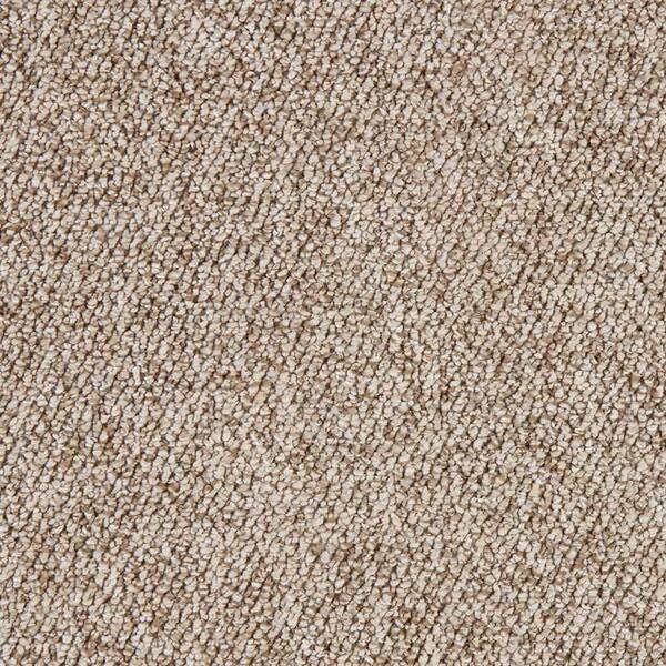 Hanville  - Tender Moment - Beige 27 oz. SD Polyester Loop Installed Carpet
