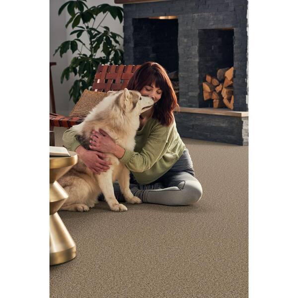 Pioneer - Oatbarn - Brown 73.5 oz. SD Polyester Texture Installed Carpet