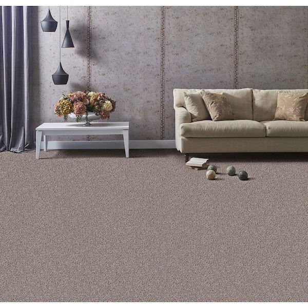 Founder - Chief - Brown 18 oz. SD Polyester Texture Installed Carpet