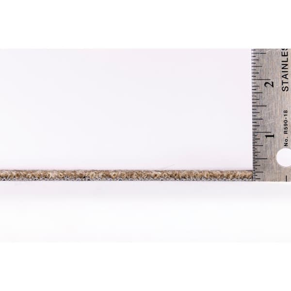 Newell Sandford Residential/Commercial 24 in. x 24 in. Glue-Down Carpet Tile (18 Tiles/Case) (72 sq.ft)