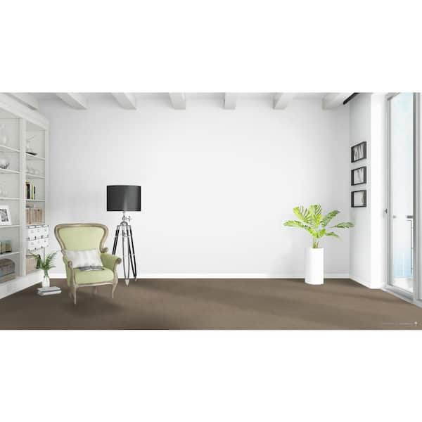 Shadow - Mist - Beige 40 oz. SD Polyester Texture Installed Carpet