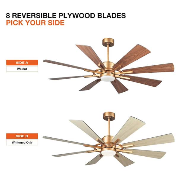 60 in. Windmill 8-Blade Integrated LED Gold Ceiling Fan with Light and Remote Control
