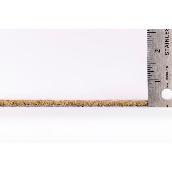 Duval Oliver Residential/Commercial 24 in. x 24 in. Glue-Down Carpet Tile (18 Tiles/Case) (72 sq.ft)