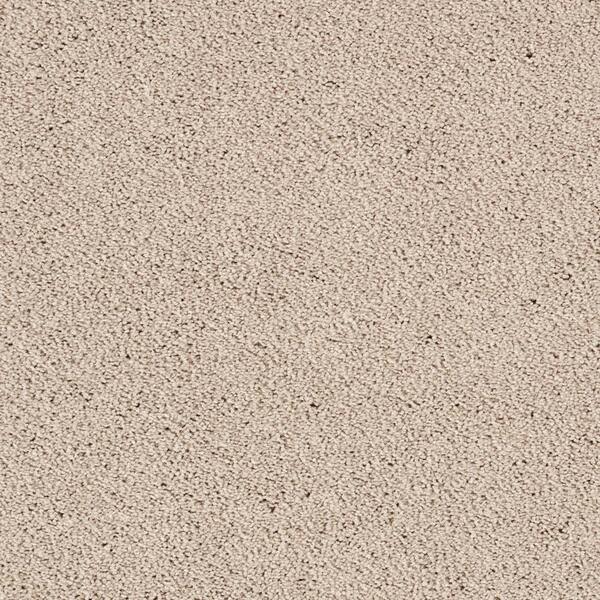 Appreciate II  - Chenille - Beige 58 oz. Triexta Texture Installed Carpet