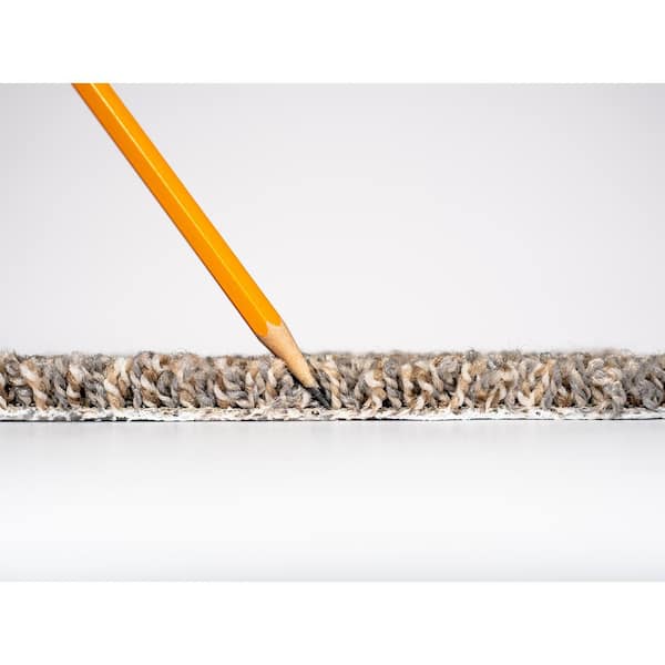 Soared - Sky High - Gray 12 ft. 30 oz. SD Polyester Texture Full Roll Carpet (1080 sq. ft./Roll)